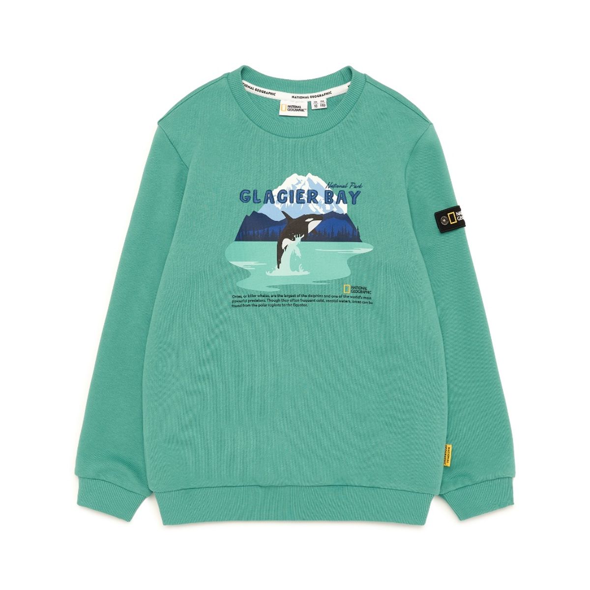 내셔널지오그래픽 키즈(NATIONAL GEOGRAPHIC KIDS) K233USW970 앞판 그래픽 맨투맨 MINT GREEN