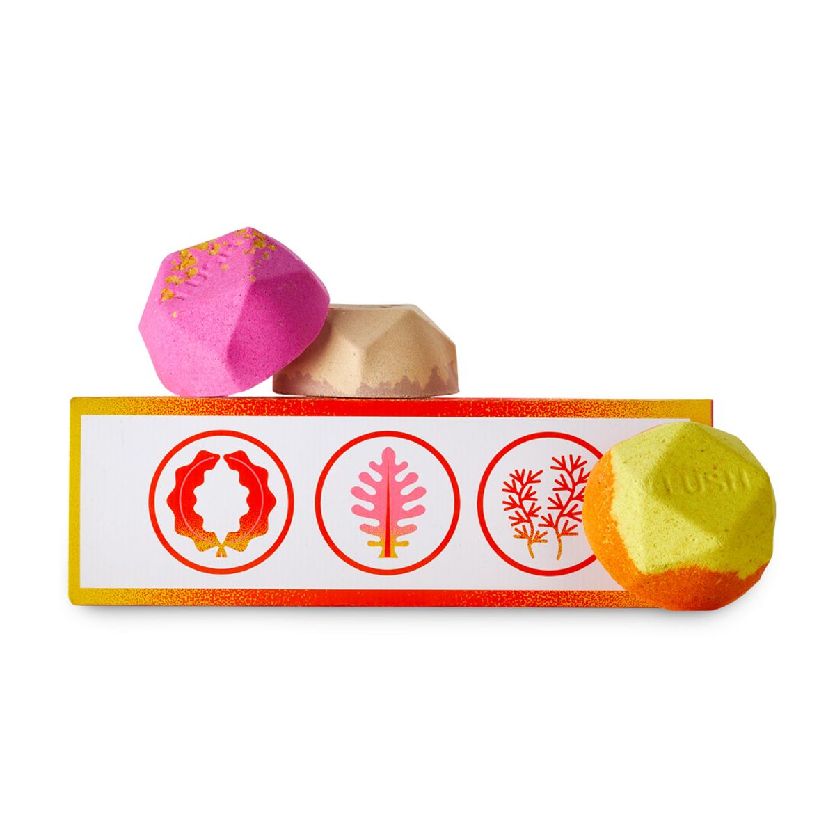 러쉬(LUSH) 따뜻한 차 한잔의 휴식 - 기프트