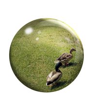 Thumbnail 0
