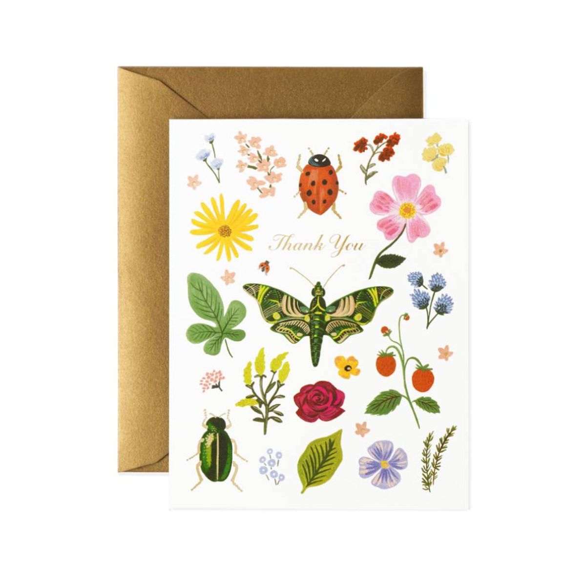 라이플 페이퍼(RIFLE PAPER) Curio Thank You Card 감사 카드