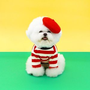 스트라이프 반팔티 - 레드