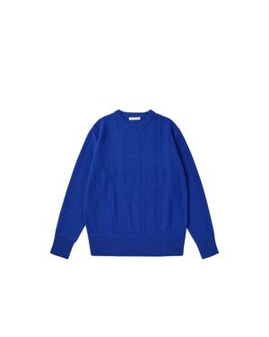 리버스 스웻 크루넥 스웨터 (코발트 블루)