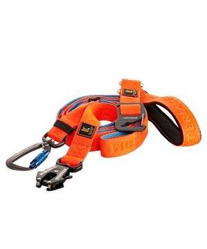 인터라켄 어스텍 강아지 아이리드줄