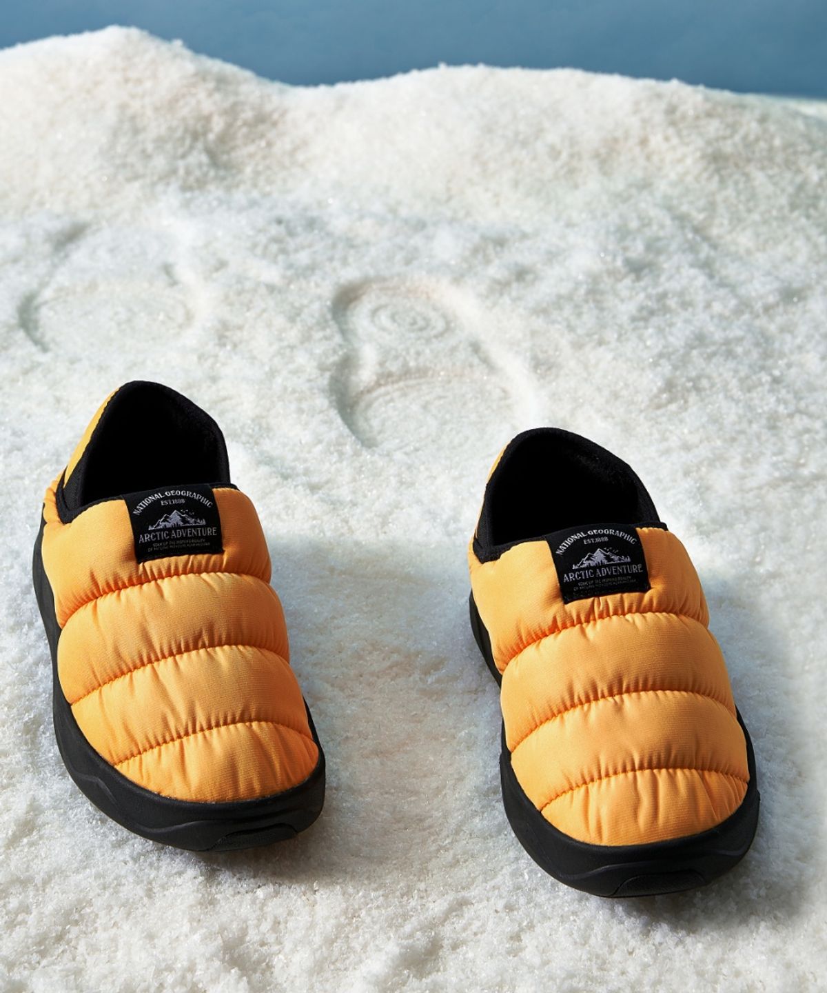내셔널지오그래픽(NATIONALGEOGRAPHIC) N234UWT359 멜로우 YELLOW