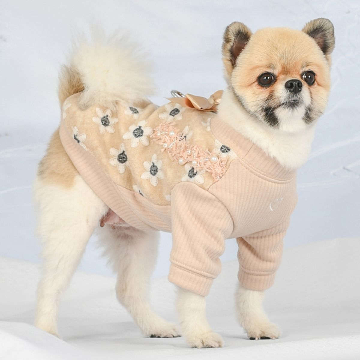 퍼피아(PUPPIA) 나나라 티셔츠 (NAXD-TS7768)