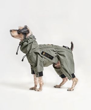 인터라켄 올인원 강아지 레인코트