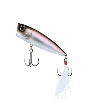 [탑워터] STEEZ POPPER 70F WAKASAGI