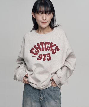 973 긴팔 맨투맨 티셔츠 (5 Color / 기모 ver)