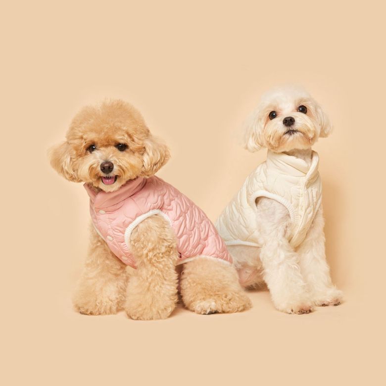 캔디패딩조끼 강아지옷 2컬러