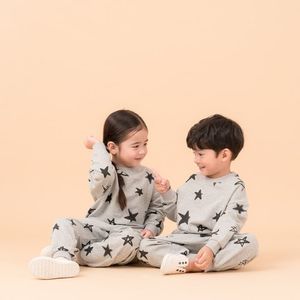 모티프 셋업_누아르 에뚜알 그리즈