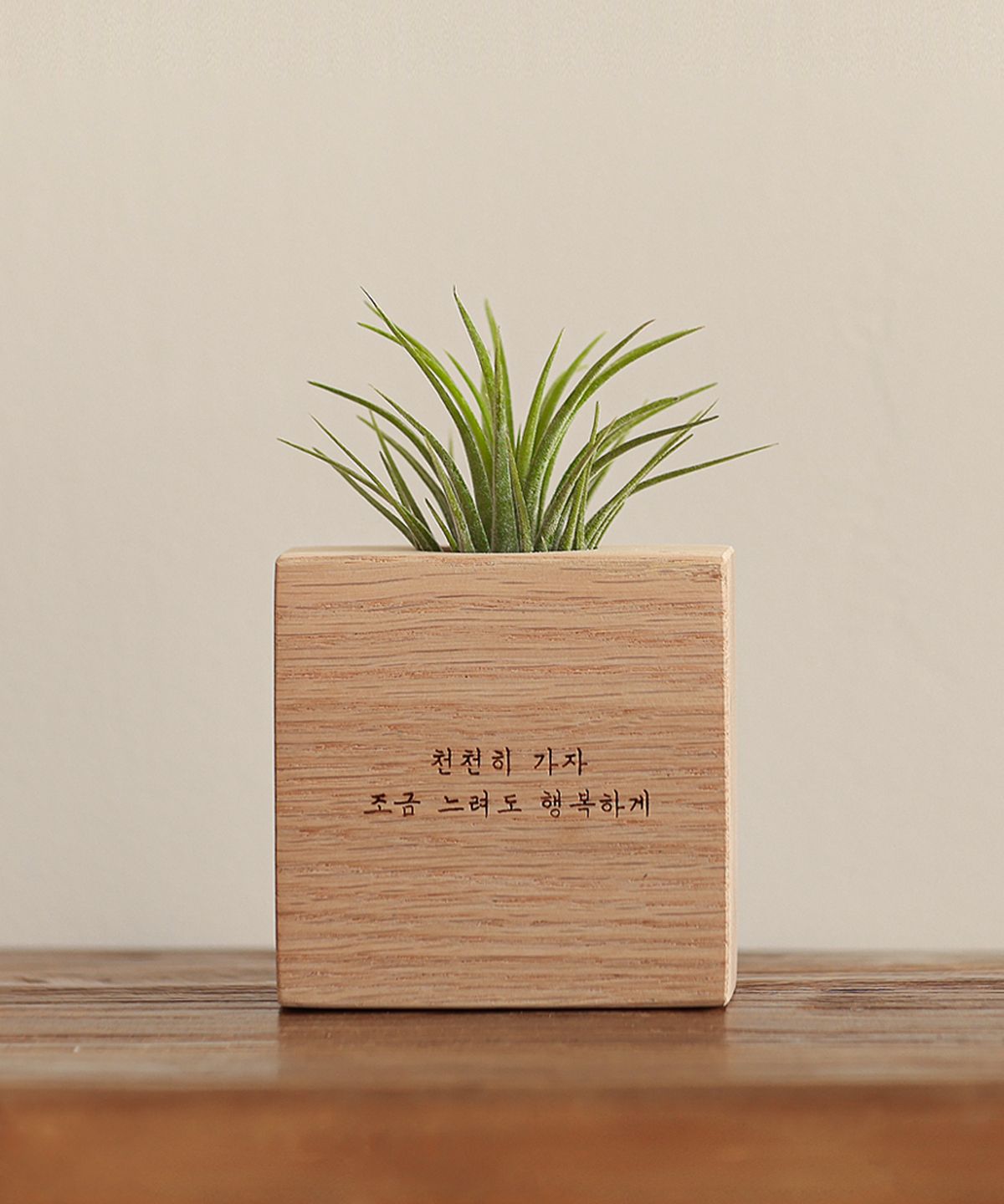 모던포인트(MODERNPOINT) 원목 각인 화분