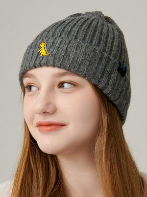 Dinosaur Beanie Ia165 [Gray]