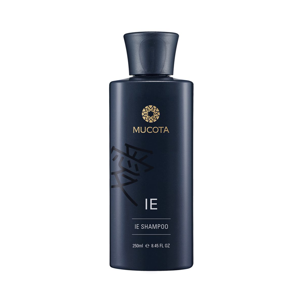 무코타(MUCOTA) IE 샴푸 250ml (단백질 보충)