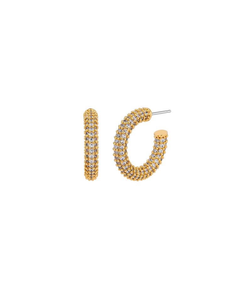 NO.262 [GOLD] EARRING