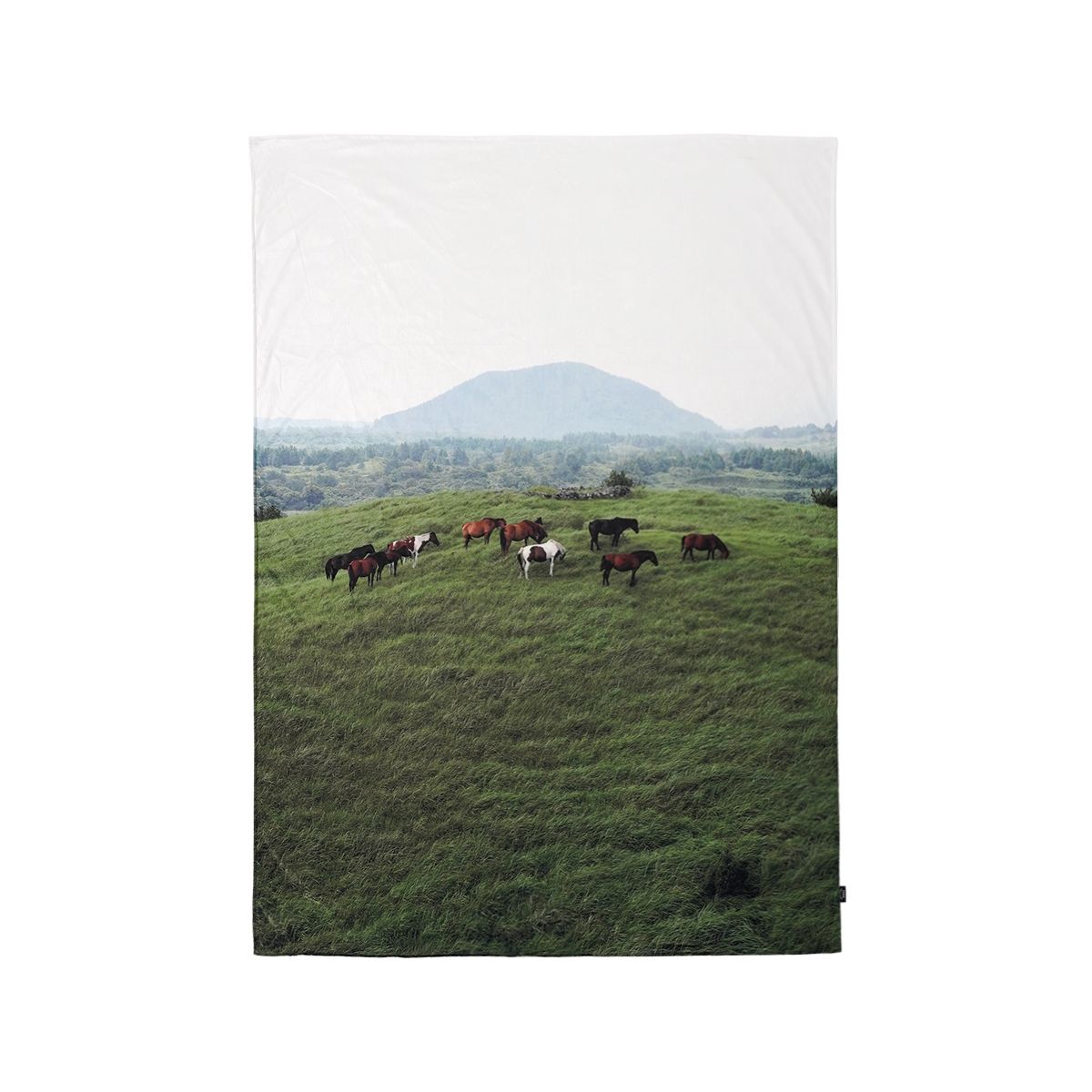 슬립타이트 오브젝트(SLEEPTIGHT OBJECT) JEJU mountain horse 대형 블랭킷