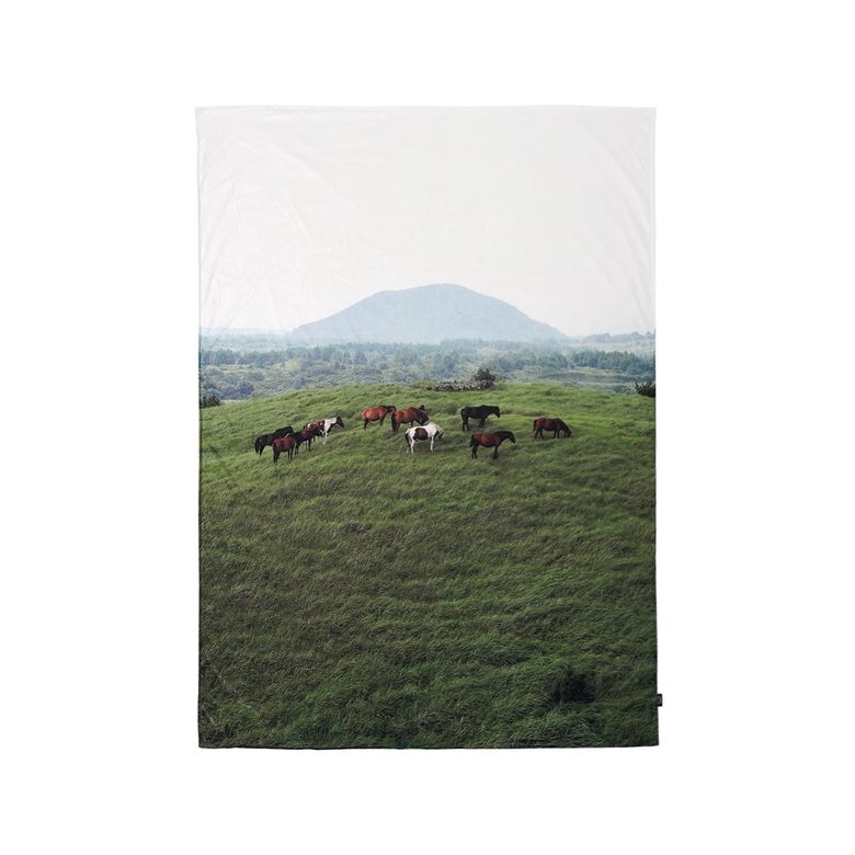 JEJU mountain horse 대형 블랭킷