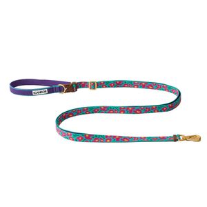 젠틀 리쉬 볼트, 롱_빅피쉬 민트