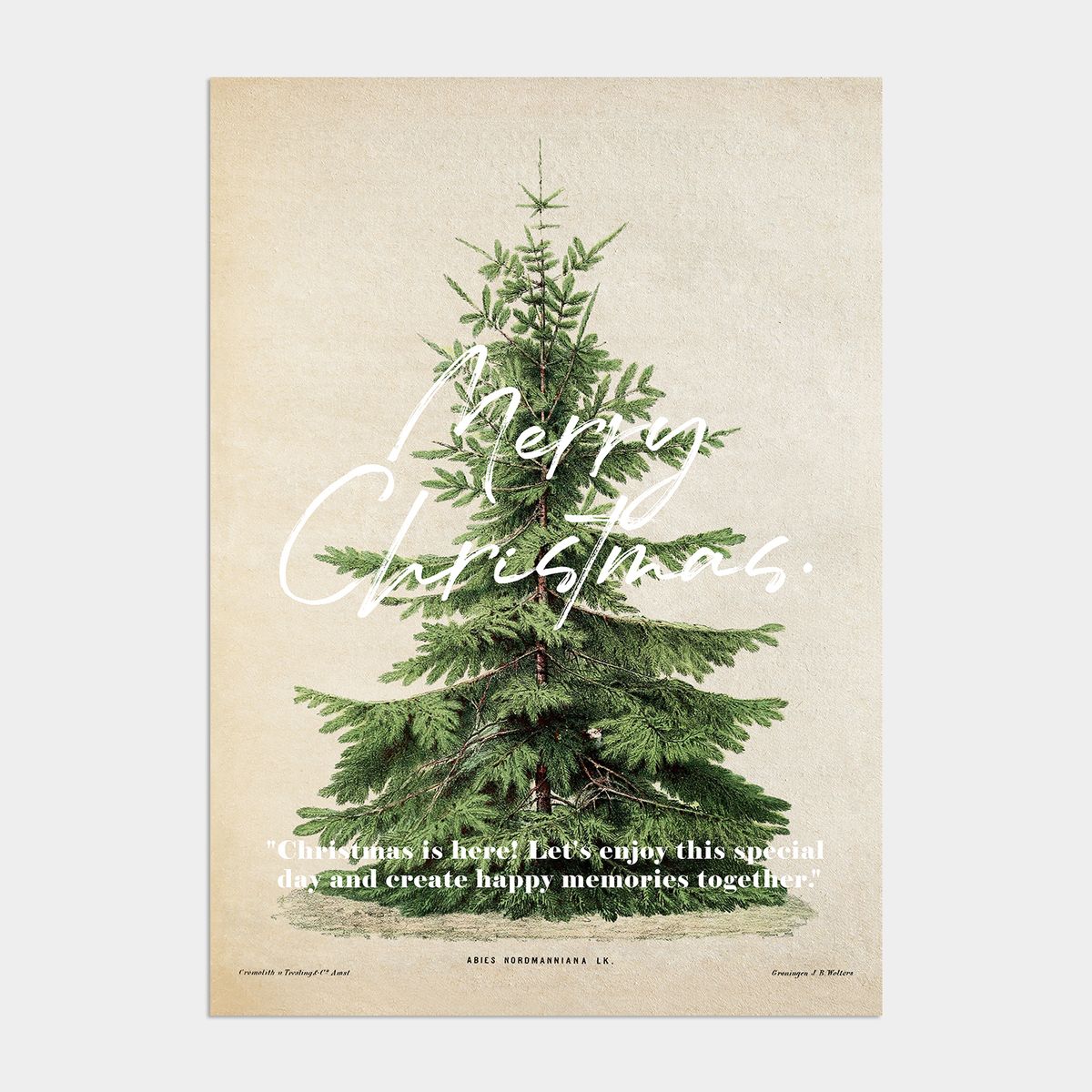 멜팅스튜디오(MELTING STUDIO) 윈터 원더랜드 크리스마스 인테리어 포스터 / 54. Noel noel!