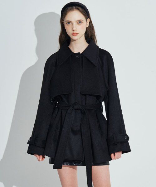 Thumbnail 0