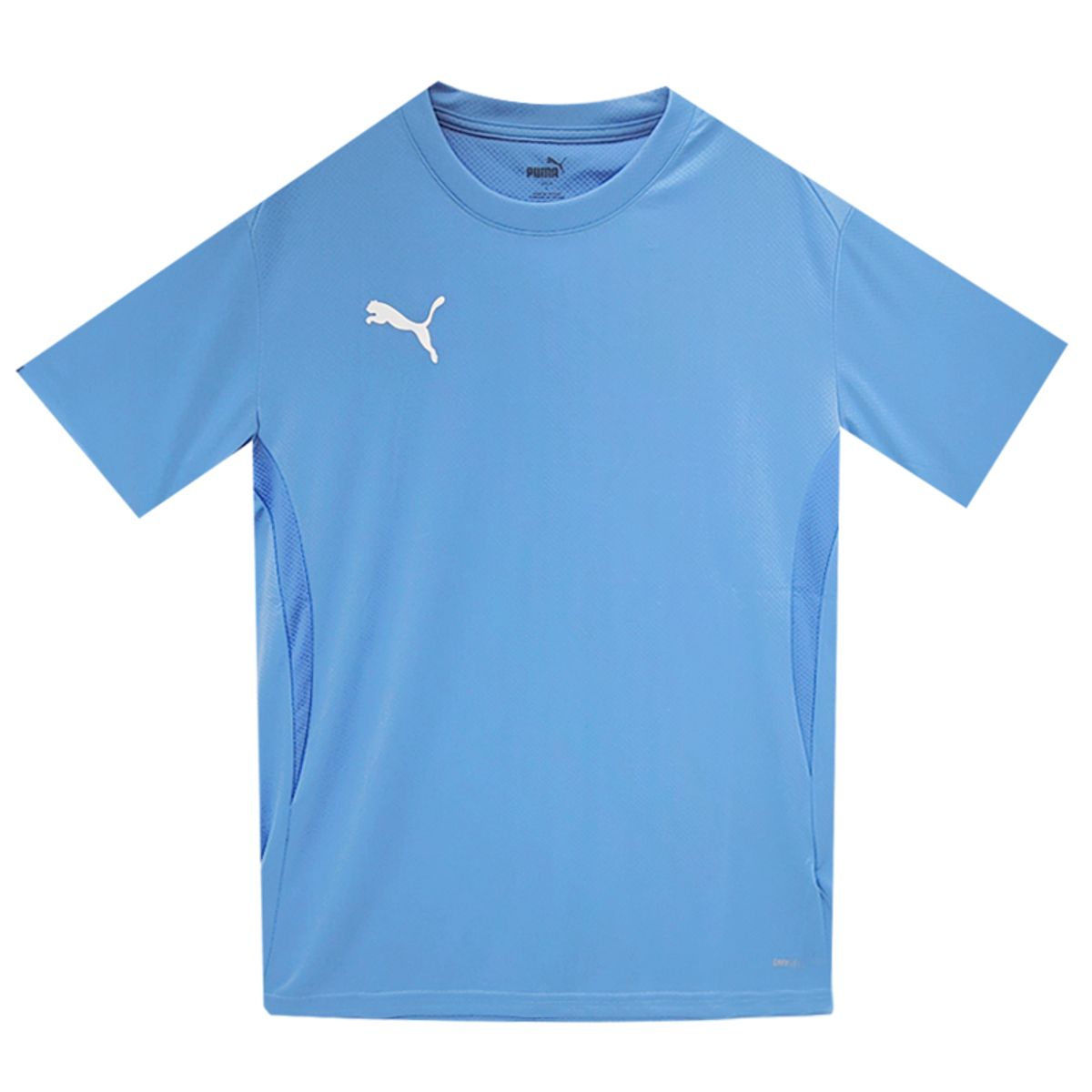 푸마(PUMA) 팀골 저지 아시안핏(65940318) 티셔츠