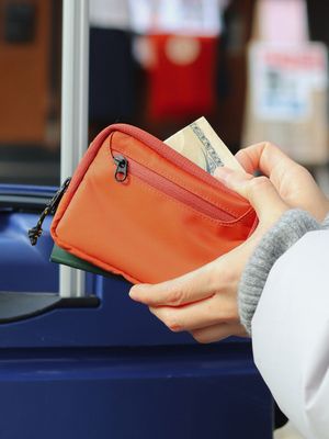 트래블러 월렛 데일리 나일론 카드 동전 지갑 - 브릭