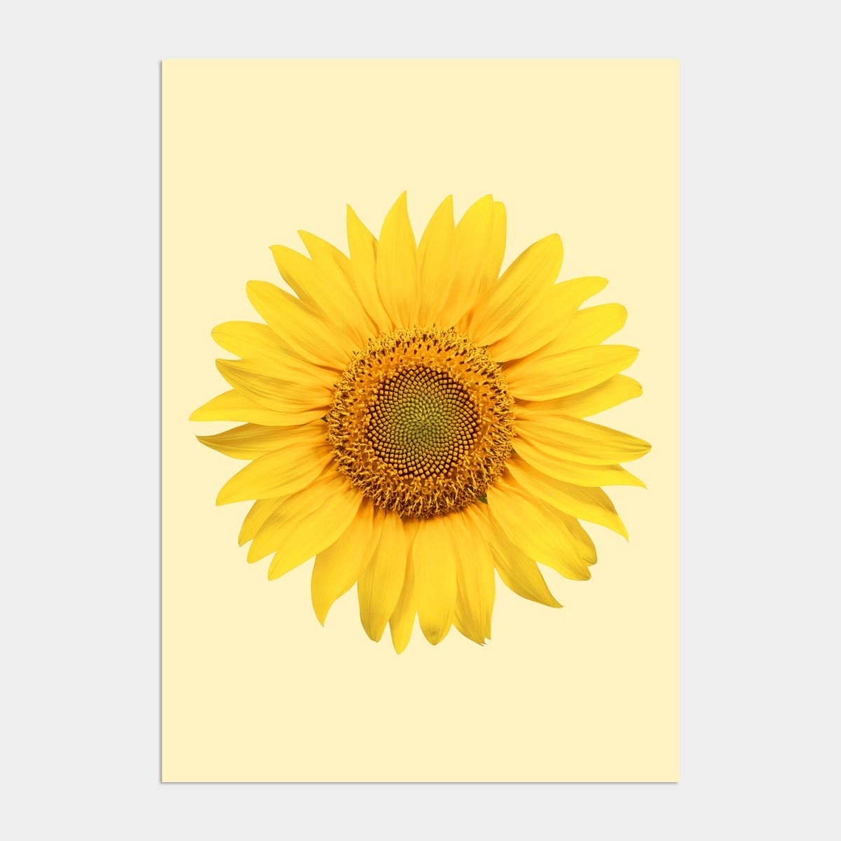 멜팅스튜디오(MELTING STUDIO) 딜라이트 해바라기 액자 인테리어 포스터 / 36. Lemony sunflower
