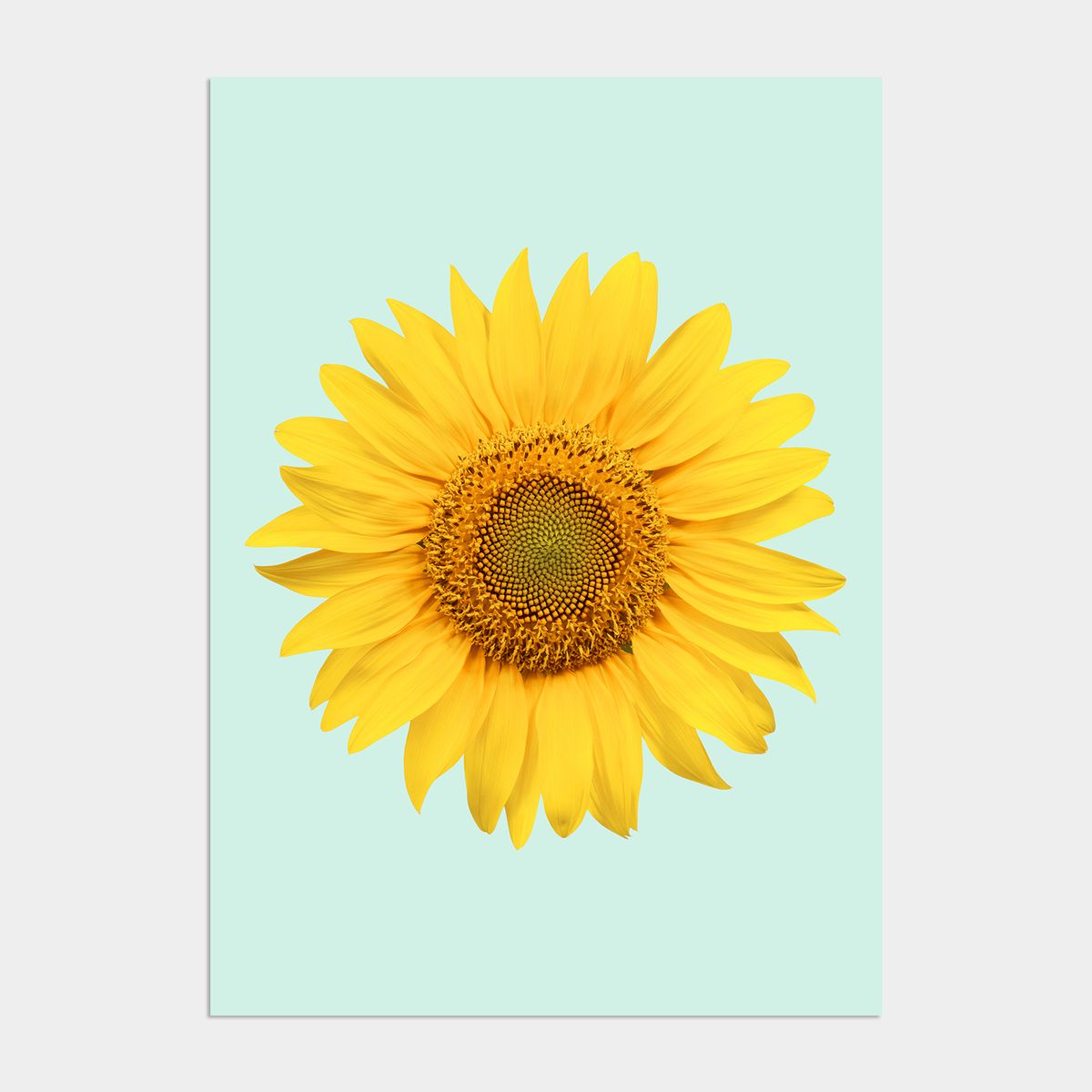멜팅스튜디오(MELTING STUDIO) 딜라이트 해바라기 액자 인테리어 포스터 / 37. Mint sunflower
