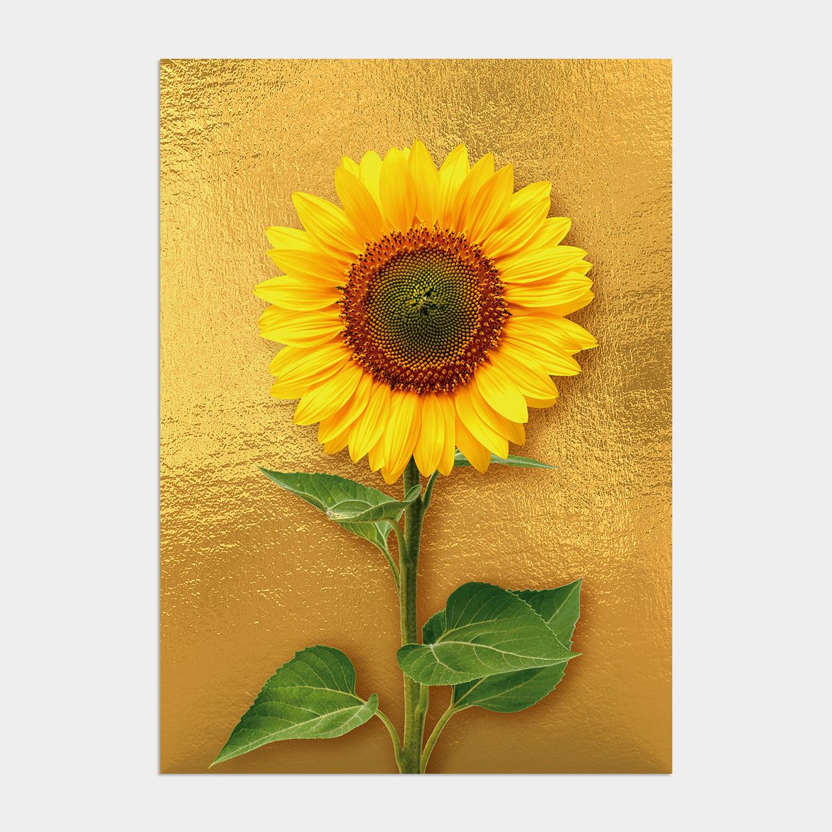 멜팅스튜디오(MELTING STUDIO) 딜라이트 해바라기 액자 인테리어 포스터 / 53. Gold sunflower 1