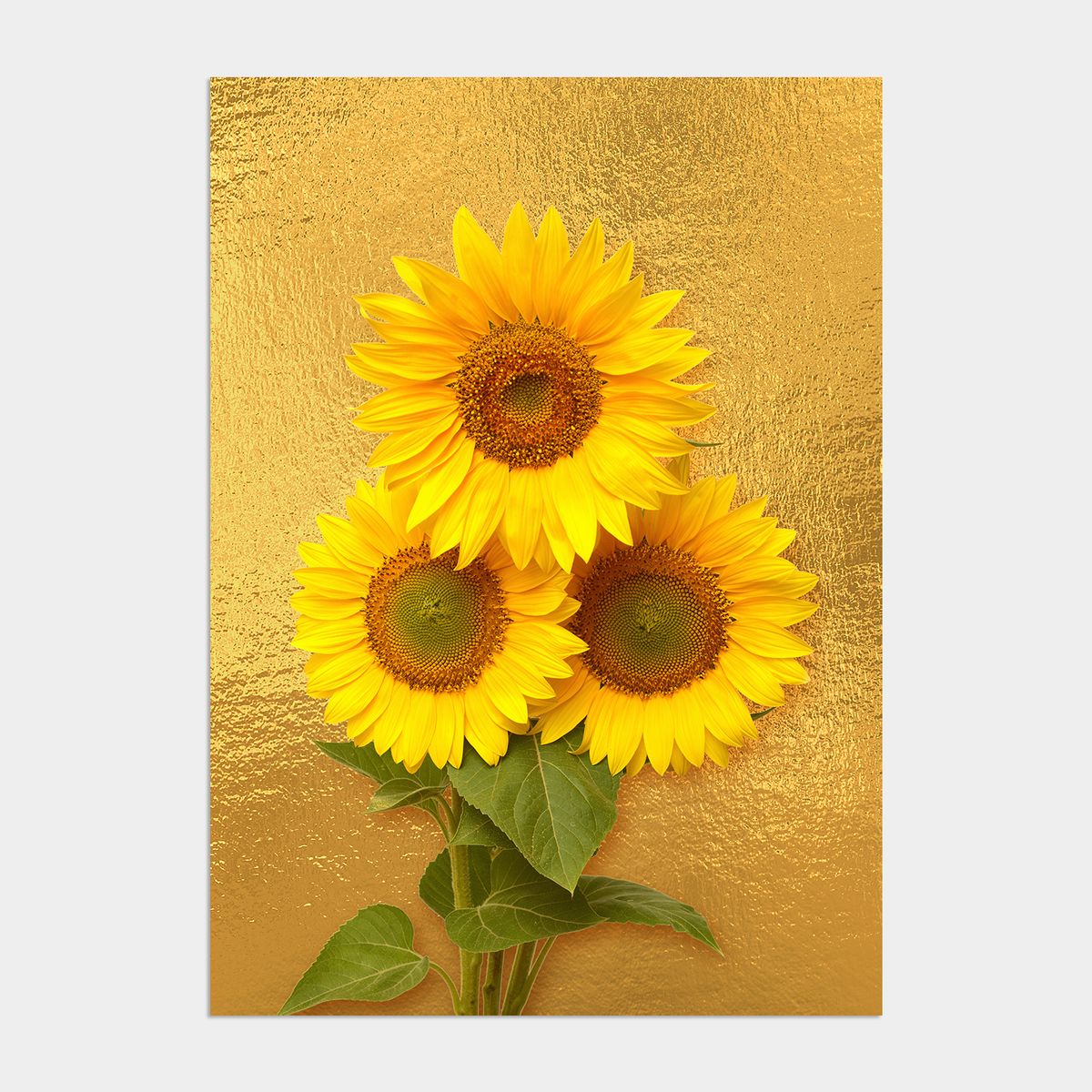 멜팅스튜디오(MELTING STUDIO) 딜라이트 해바라기 액자 인테리어 포스터 / 54. Gold sunflower 2