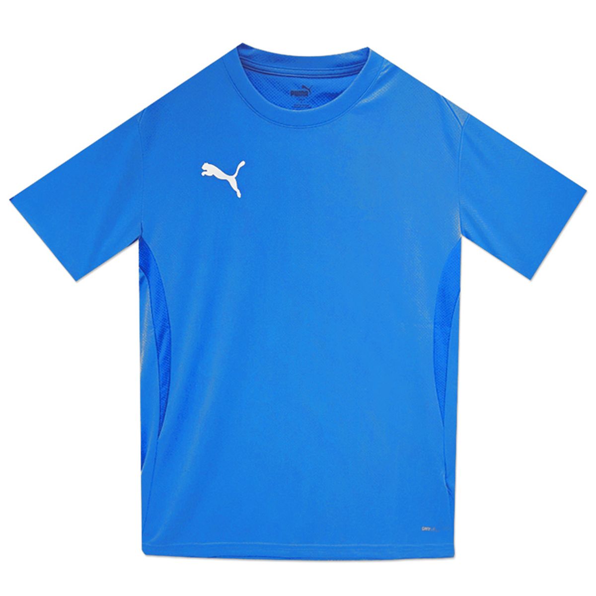 푸마(PUMA) 팀골 저지 아시안핏(65940302) 티셔츠