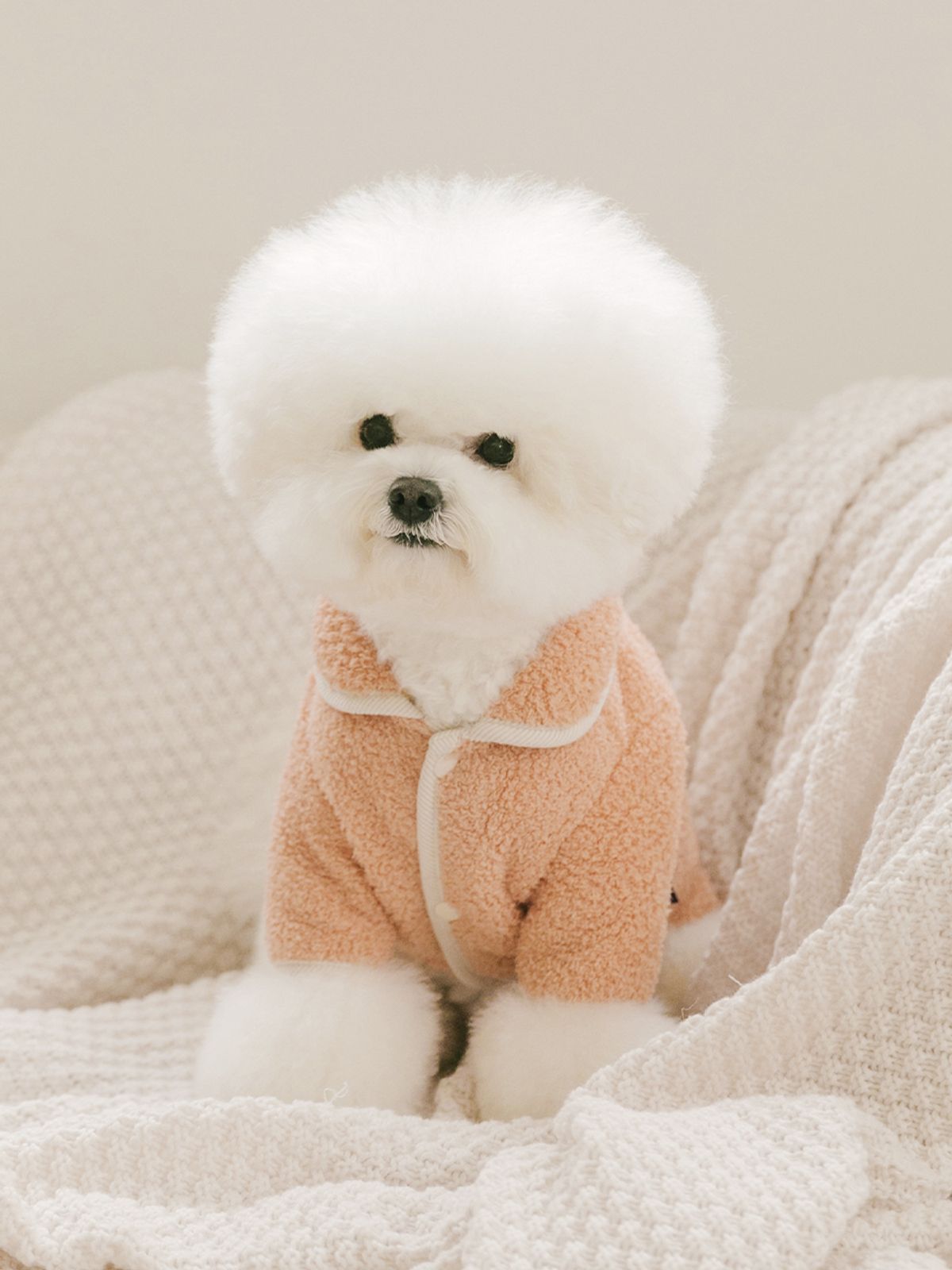 스캠퍼(SCAMPER) 크리미 점퍼 [오렌지]