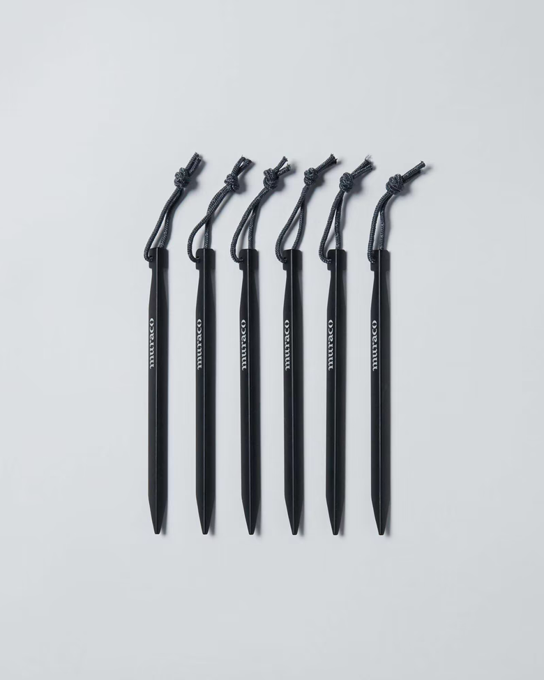 V자형 페그