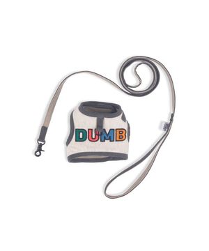 Jolly Dumb Harness Set