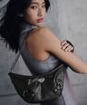 3804031