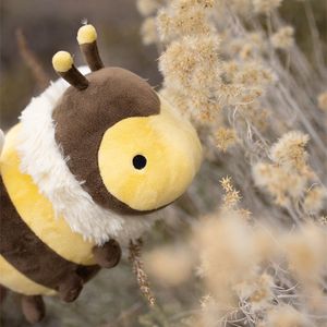 미니 꿀벌 비이