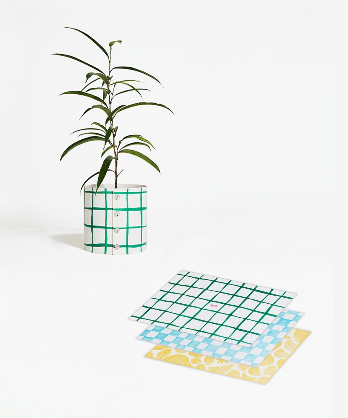 플랫츠(PLATS) plats X Charida_Green Net
