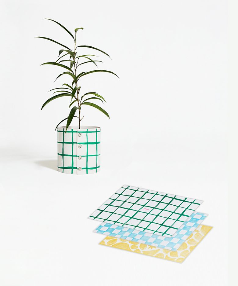 plats X Charida_Green Net