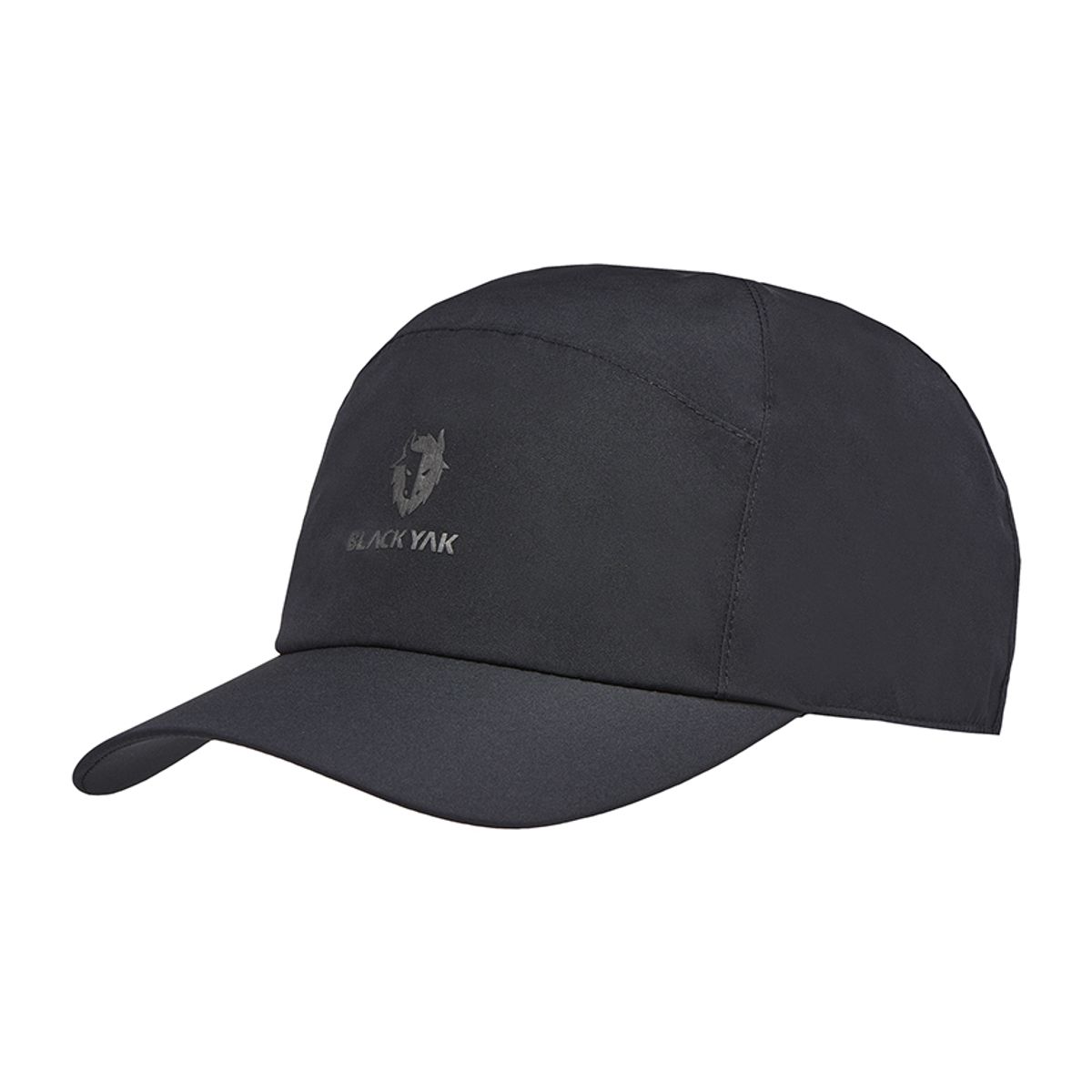 블랙야크(BLACKYAK) 고어볼캡_BK
