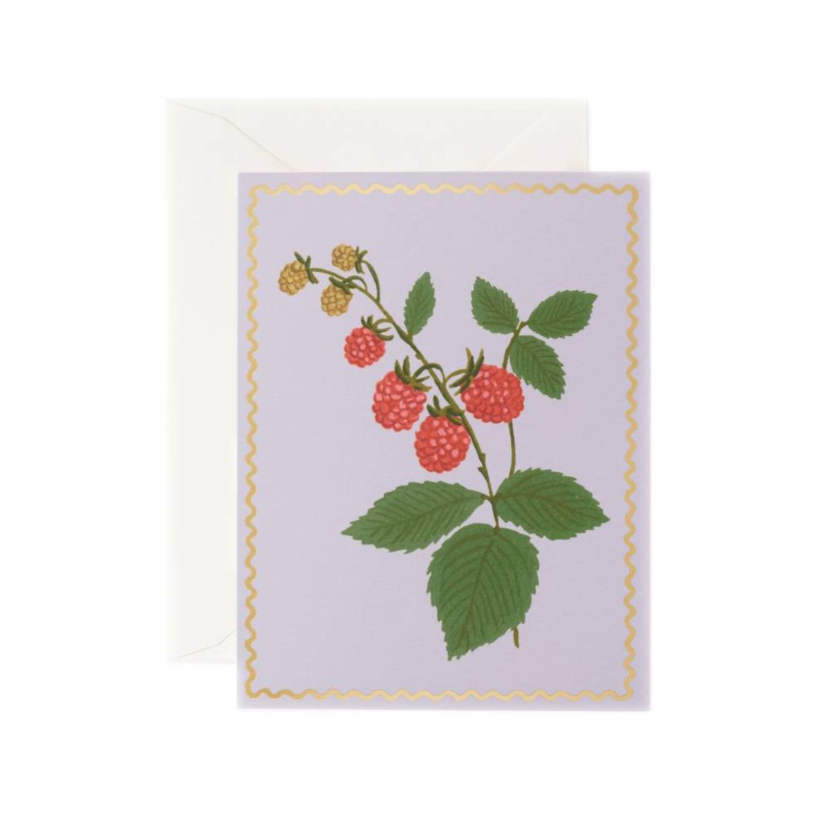 라이플 페이퍼(RIFLE PAPER) Raspberry Card 일상 카드