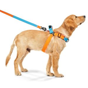 인터라켄 어스텍 Y형 끈 강아지 하네스
