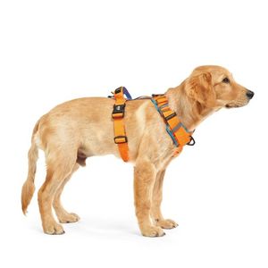 인터라켄 어스텍 H형 패드 강아지 하네스