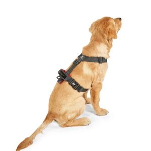 인터라켄 어스텍 H형 끈 강아지 하네스