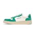 COURT (GREEN/OFF WHITE)
