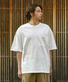 3858934