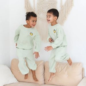 와플 셋업_베르트 페일