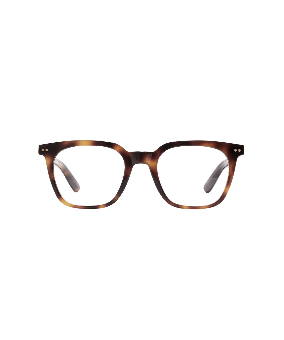 카린(CARIN) 람스S C2