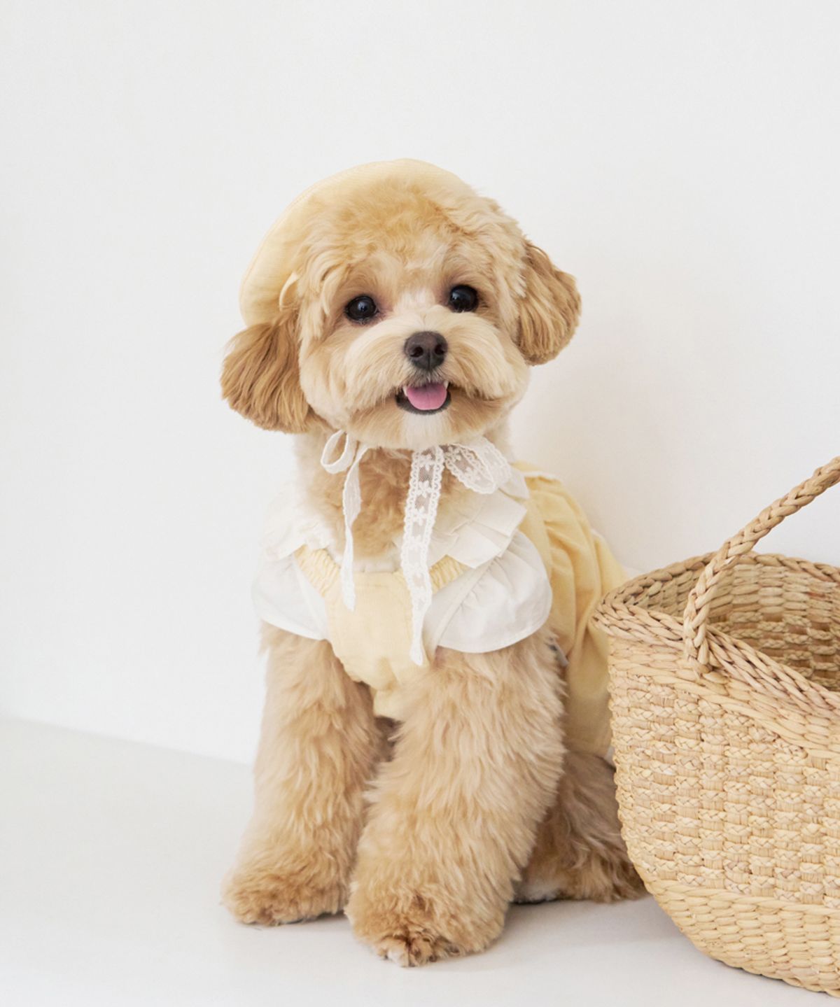 마이리틀독(MY LITTLE DOG) 슈크림 코듀로이 원피스[2color]