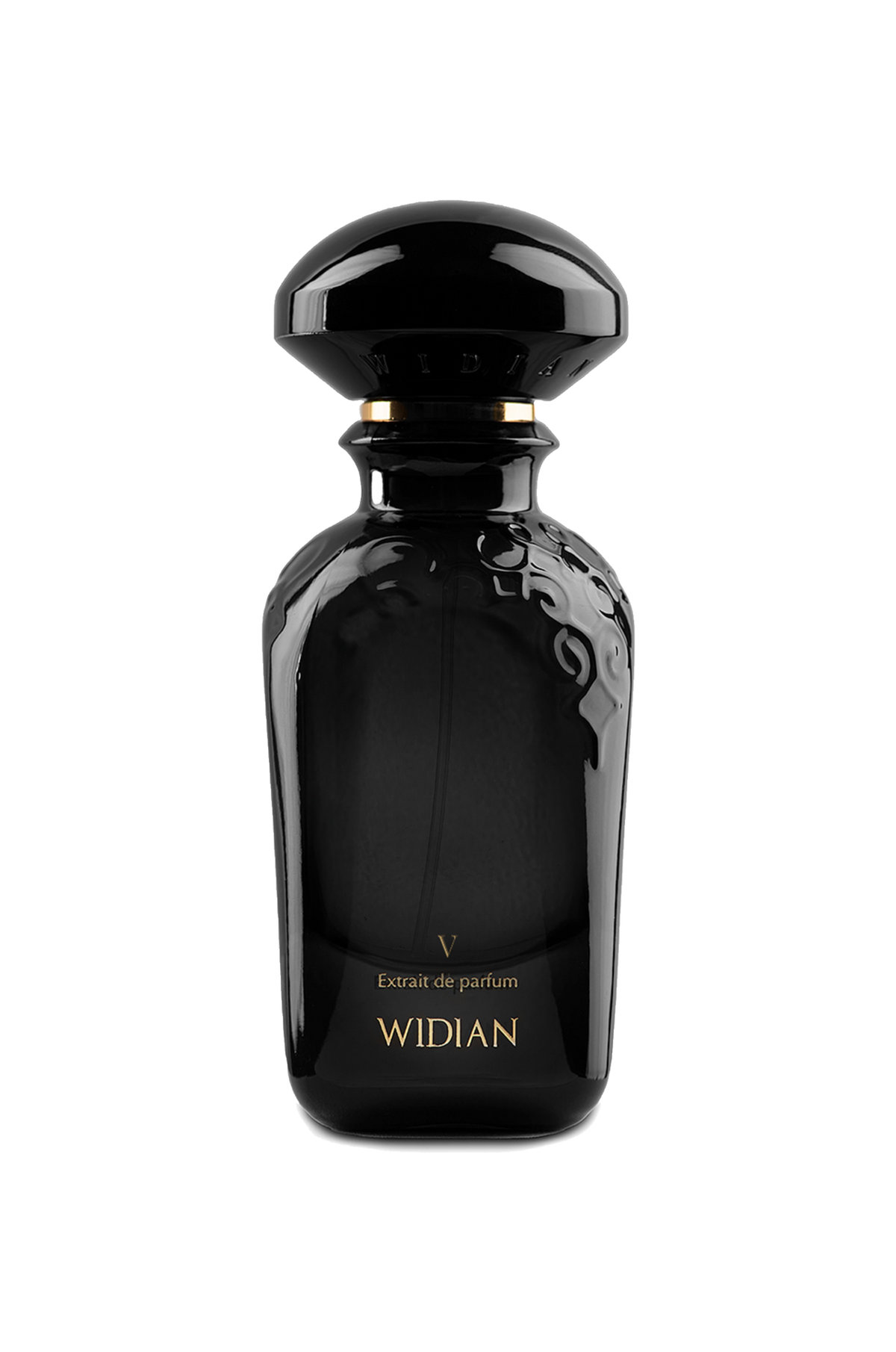 위디안(WIDIAN) 블랙 V