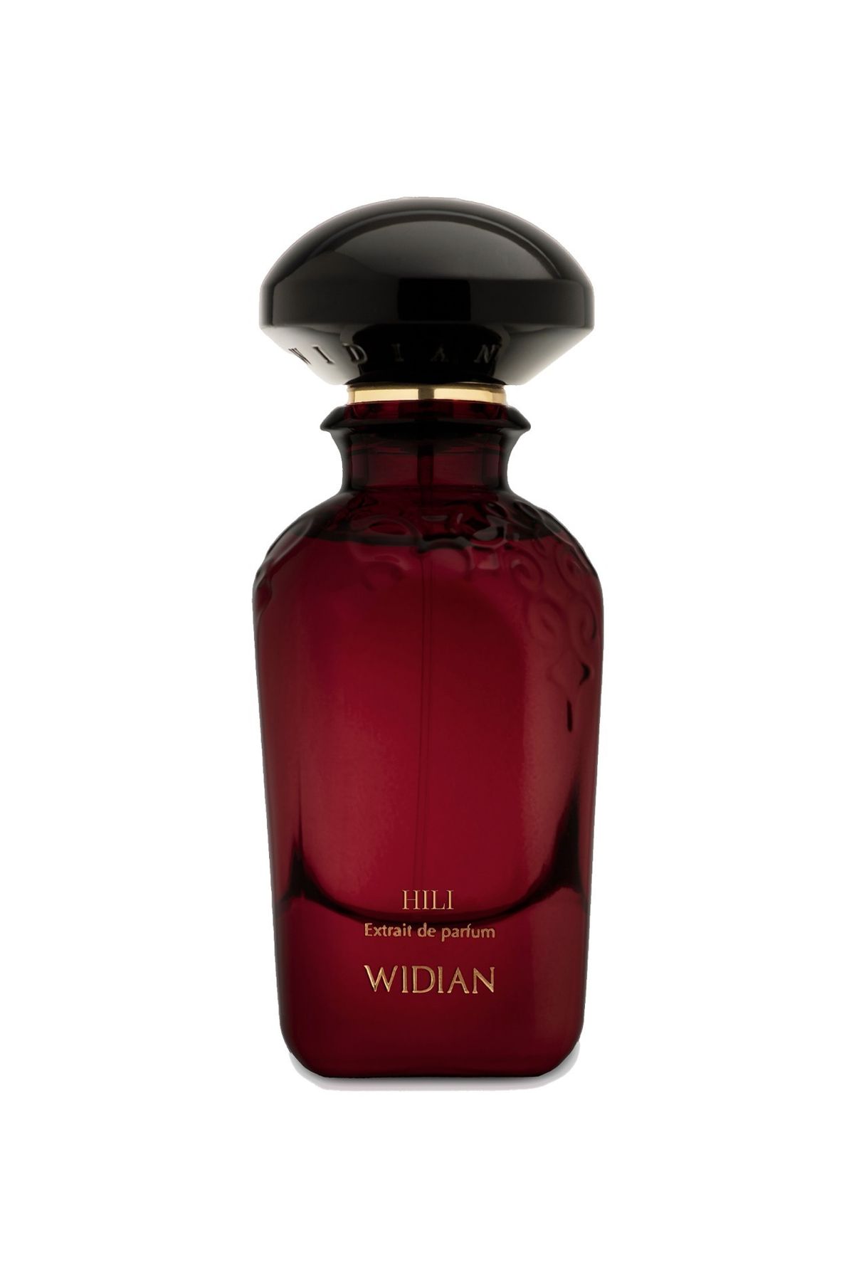 위디안(WIDIAN) 힐리