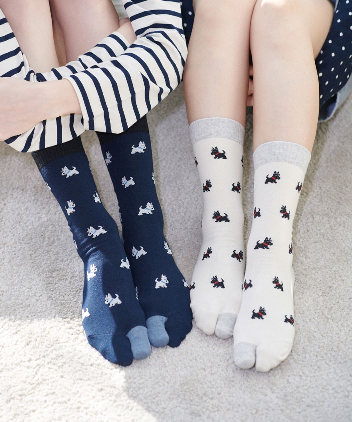 삭스어필(SOCKS APPEAL) [2pack] tabi terrier SET